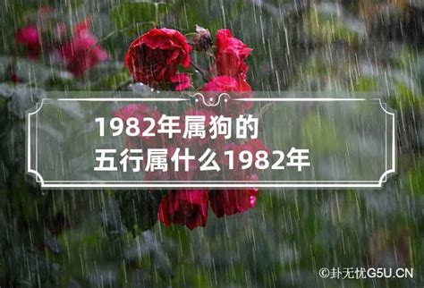 1982年属|1982年属什么 1982年属什么五行